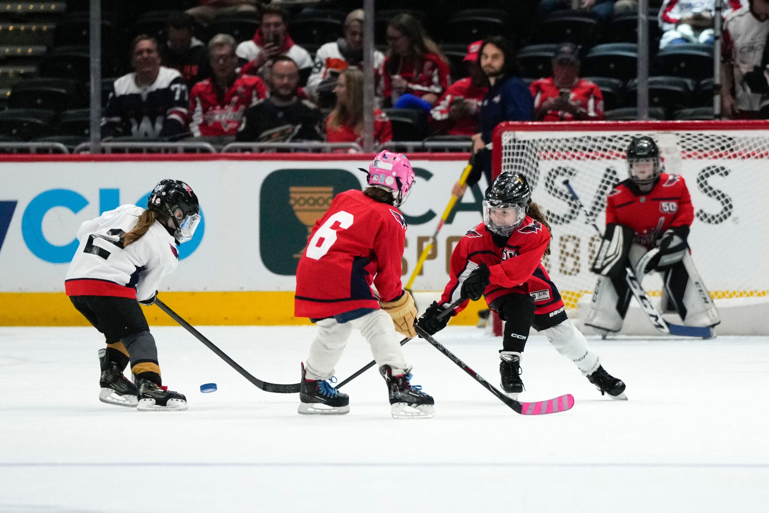 Women in Hockey Night Women in Hockey Night