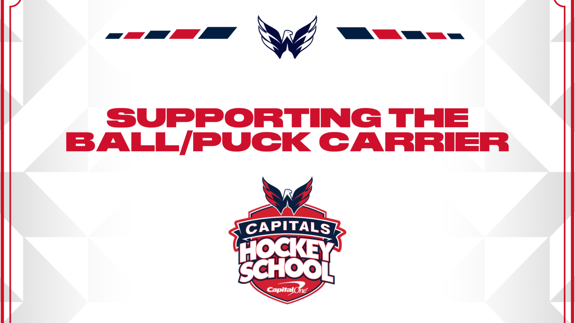 Supporting ballpuck carrier-Website